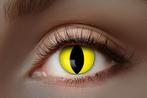 UV Flash Gele Kat kleurlenzen 1 Maand, Nieuw, Ophalen of Verzenden