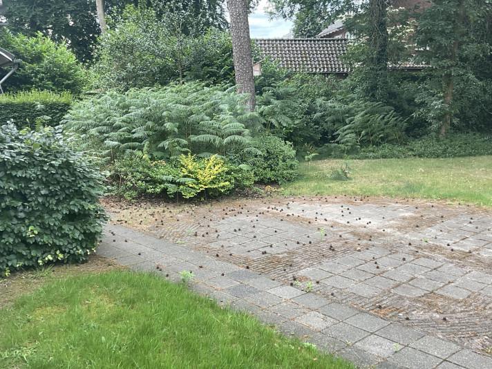 Studio te huur in Hilversum - 14 m² - 1 kamer(s), Huizen en Kamers, Kamers te huur, Overige regio's