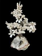 Cristal de Rocha / Selenita Een exclusieve collectie van