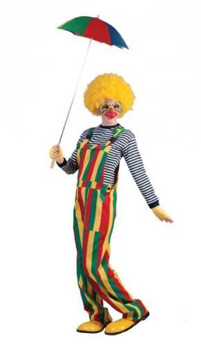 Clown tuinbroek - Limburg kleding, Kleding | Heren, Carnavalskleding en Feestkleding, Ophalen of Verzenden
