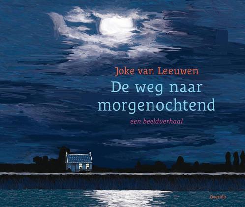 De weg naar morgenochtend 9789045130064 Joke van Leeuwen, Boeken, Overige Boeken, Gelezen, Verzenden