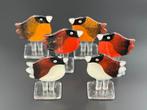 Studio Habrat - Maciej Habrat - Figuur - Tits (6) -