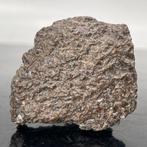 Diogenita HASSI EL BIOD 001 VESTA Meteoriet Asteroïde - 58 g