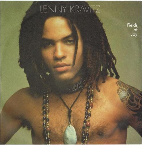 Single - Lenny Kravitz - Fields Of Joy, Cd's en Dvd's, Vinyl | Pop, Verzenden