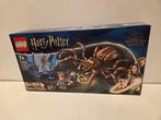 Lego Set - Harry Potter - Aragog in het Verboden Bos 76434+, Nieuw
