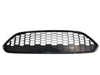 Ford Fiesta 2013-2017 Gril Sierrooster Zwart Honinggraad, Ophalen of Verzenden, Nieuw, Ford USA