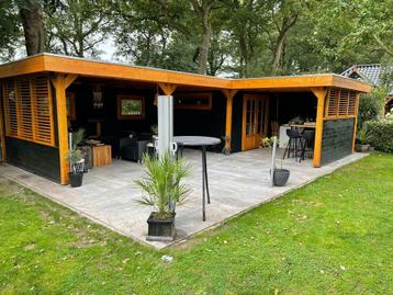 Tuinhuis Tynaarlo 930x380+300x350 compleet. beschikbaar voor biedingen