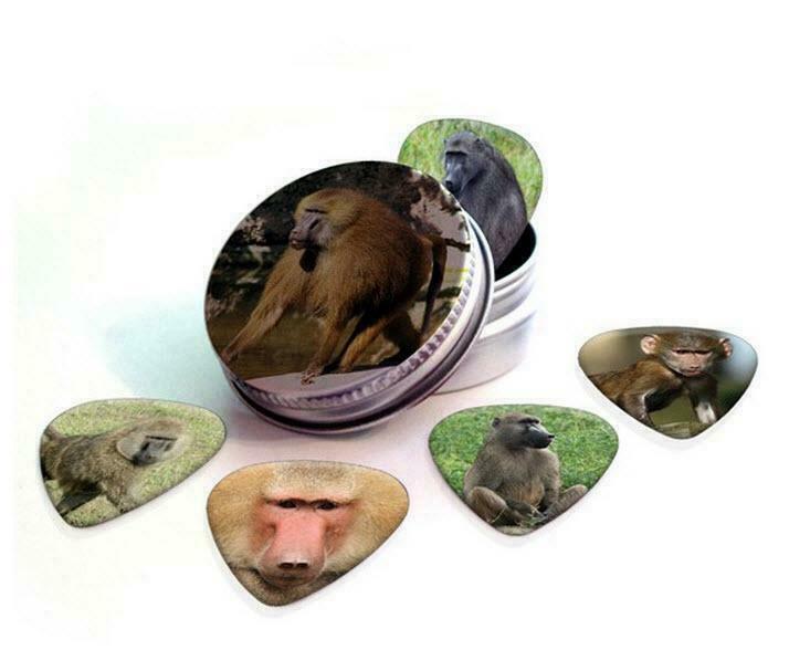 Blikje + plectrums met afbeelding van een Baviaan aap, Verzamelen, Overige Verzamelen, Nieuw, Ophalen of Verzenden