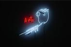 Sylvain BARBEROT - Auto