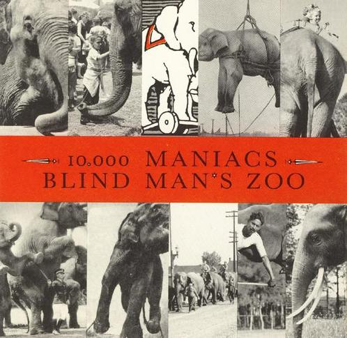 cd - 10,000 Maniacs - Blind Mans Zoo, Cd's en Dvd's, Cd's | Overige Cd's, Zo goed als nieuw, Verzenden