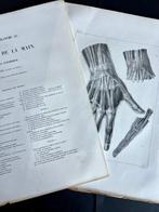Lesmateriaal - Nicolas-Henri Jacob & Jean Baptiste Marc