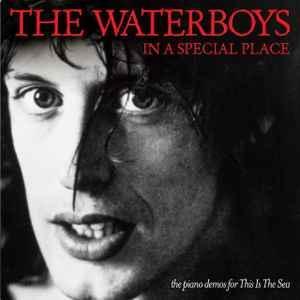 cd - The Waterboys - In A Special Place, Cd's en Dvd's, Cd's | Rock, Verzenden