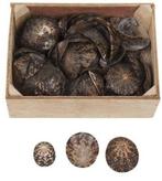 Limpet ovale schelpen 500 gram, Hobby en Vrije tijd, Knutselen, Ophalen of Verzenden, Nieuw