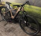 PRACHTIGE Cube Reaction Electrische MTB met Smart-systeem, Fietsen en Brommers, Elektrische fietsen, Ophalen of Verzenden, Zo goed als nieuw