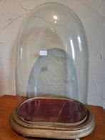 Globe - stolp - antiek - 1901-1920 - Antieke ovale stolp op