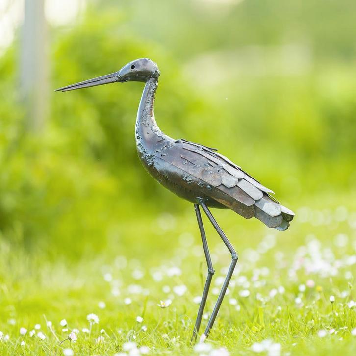 Beeld - Grutto - mooievogels.nl, Dieren en Toebehoren, Vogels | Overige Vogels, Wildzangvogel