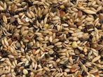 Wildzangzaad - Wildzangzaad 4 kilo - Vogelzaad    -, Verzenden, Nieuw
