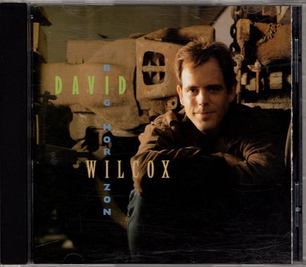 cd - David Wilcox - Big Horizon, Cd's en Dvd's, Cd's | Overige Cd's, Zo goed als nieuw, Verzenden