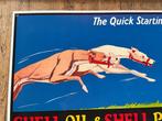 SHELL Oil - Shell Petrol Werbeschild - Emaille plaat -
