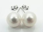 Zonder Minimumprijs - Oorstekers - 14 karaat Witgoud Parel -