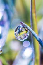 Inna Etuvgi - Rainbow Morning