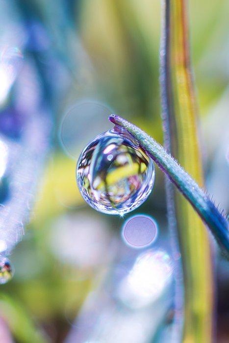 Inna Etuvgi - Rainbow Morning, Antiek en Kunst, Kunst | Designobjecten