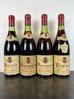 1961 Bouchot Ladot, x 2 Bourgogne, Pommard & 1962 Macon -, Verzamelen, Wijnen, Nieuw