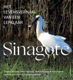 Sinagote, Ophalen of Verzenden, Nieuw