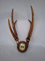 Barometer - Hout, Antiek en Kunst