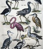 Matthäus Merian (1593-1650) - hand coloured folio:, Antiek en Kunst