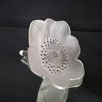 Lalique - Snijwerk, Anémone - 9 cm - Kristal