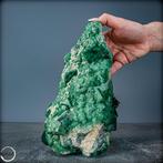 Natuurlijke groene fluorietkristalcluster Op Matrix- 2299.12