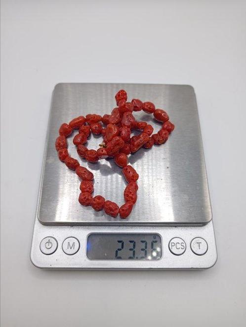 Bloedkoraal Koraal - Corallium rubrum (Zonder Minimumprijs), Verzamelen, Dierenverzamelingen
