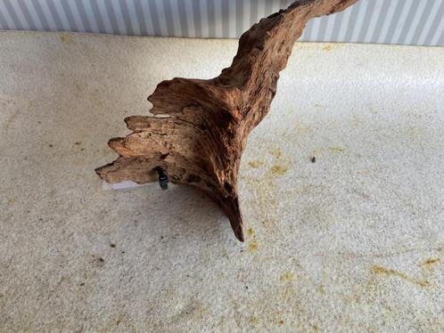 Fine Sinking Wood Selected  FS949 30x16x10 cm, Dieren en Toebehoren, Vissen | Aquaria en Toebehoren, Plant(en), Steen of Hout