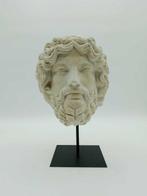 sculptuur, Testa di Zeus - 36 cm - marmeren stof