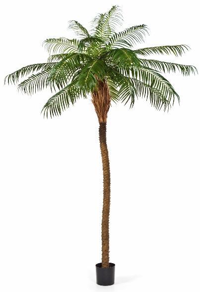 Kunstplant Phoenix Palmboom Deluxe 225 cm, Huis en Inrichting, Kamerplanten