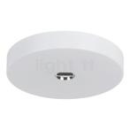 Flos Button, glas - IP40 - ø¸47 cm (Wandlampen, Verlichtin, Verzenden, Nieuw