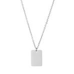Roestvrij stalen zilver kleurige ketting met rechthoekige ha, Verzenden, Nieuw, Zilver