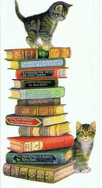 Heel veel mooie, goedkope boeken / romans te koop !! beschikbaar voor biedingen