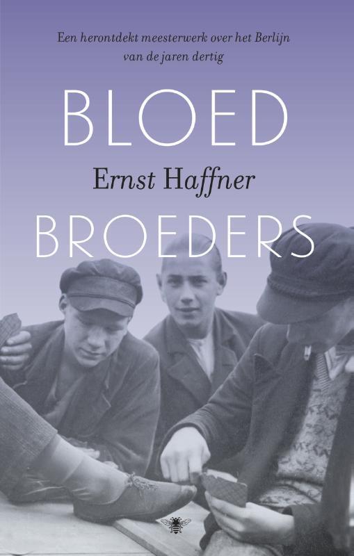 Bloedbroeders 9789023486237 Ernst Haffner, Boeken, Romans, Zo goed als nieuw, Verzenden