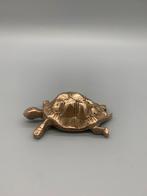 Antiek messing schildpad handwerk, Ophalen of Verzenden, Koper