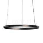 Mawa Berliner Ring Hanglamp LED Downlight, ring brons/plafon, Huis en Inrichting, Lampen | Hanglampen, Verzenden, Nieuw