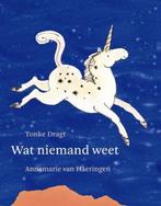Wat Niemand Weet 9789059650596 T. Dragt, Boeken, Verzenden, Gelezen, T. Dragt