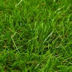 Kunstgras 1x5 m/30 mm groen (Kunstgras & Planten)