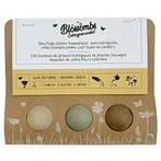 Blossombs Bloem Bommetjes in Cadeauverpakking - 3 Stuks NIEU, Tuin en Terras, Bloembollen en Zaden, Ophalen of Verzenden