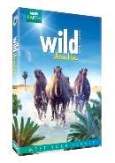 BBC earth - Wild Arabia - DVD, Cd's en Dvd's, Dvd's | Documentaire en Educatief, Verzenden