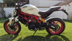 Ducati - Monster - 800 cc - 2019, Motoren