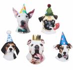 Honden Party set 41-delig, Dieren en Toebehoren, Verzenden, Nieuw