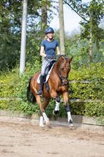 **Wij hebben weer plek voor training/-verkooppaarden**, Dieren en Toebehoren, Paarden, B, Dressuurpaard, 7 tot 10 jaar, Meerdere dieren