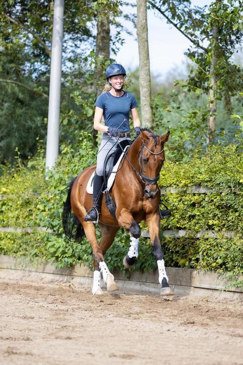 **Wij hebben weer plek voor training/-verkooppaarden**, Dieren en Toebehoren, Paarden, 165 tot 170 cm, Met stamboom, Gechipt, Ontwormd